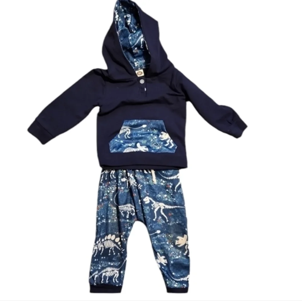 Boys Two Piece Matching‎ Dinosaur Jogging Suit